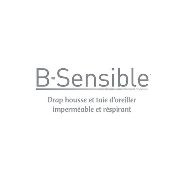 B-sensible